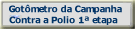 Clique para acessar o vacin�metro da campanha contra a Polio - 2009